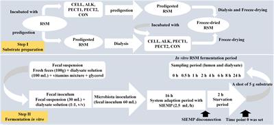 Pretreatment of Rapeseed Meal Increases Its Recalcitrant Fiber Fermentation and Alters the Microbial Community in an in vitro Model of Swine Large Intestine